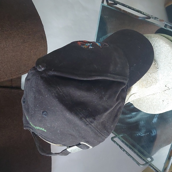 Disney Hat - Picture 4 of 4